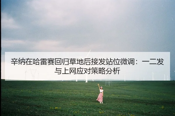 xin-na-zai-ha-lei-sai-hui-gui-cao-di-hou-jie-fa-zhan-wei-wei-diao-yi-er-fa-yu-shang-wang-ying-dui-ce-lve-fen-xi-2-409.jpg